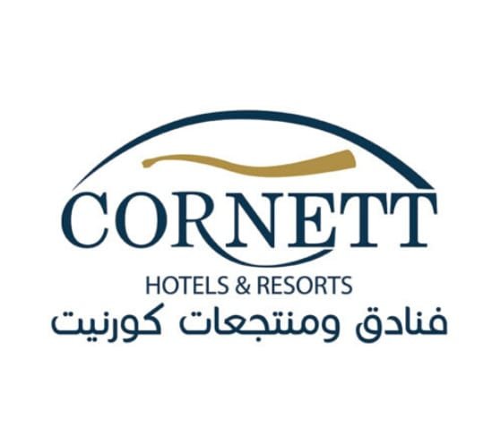 الرئيس التنفيذي